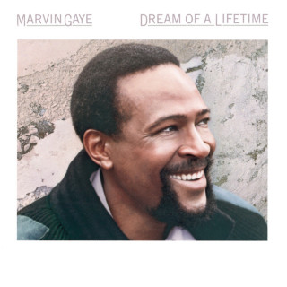 Marvin Gaye - Dream Of A Lifetime album cover