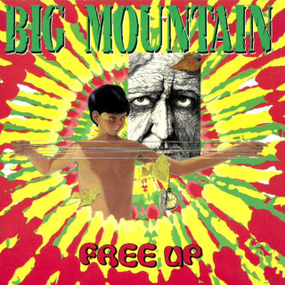 Big Mountain - Free Up album cover