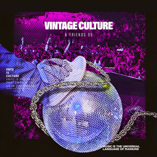 Vintage Culture - Vintage Culture & Friends 5 EP cover
