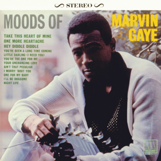 Marvin Gaye - Moods Of Marvin Gaye album cover