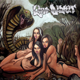 Limp Bizkit - Gold Cobra album cover