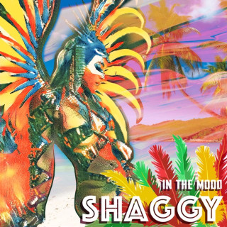 Shaggy - In The Mood EP cover