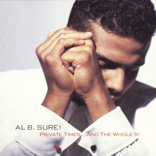 Al B. Sure! - Private Times... And The Whole 9! album cover