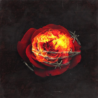 Exile - Enough album cover
