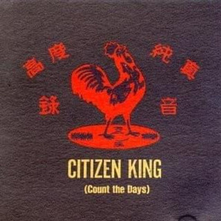 Citizen King - Count The Days EP cover