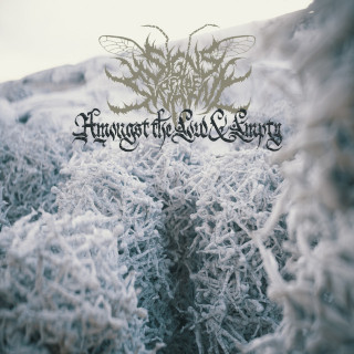 Signs Of The Swarm - Amongst The Low & Empty album cover