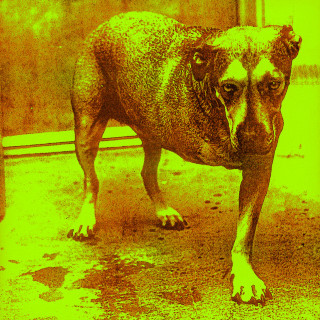 Alice In Chains - Alice In Chains album cover
