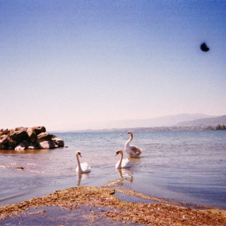 Coma Cinema - Loss Memory album cover