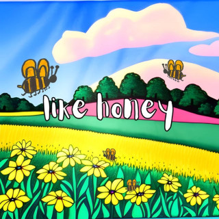 Nic D - Like Honey album cover