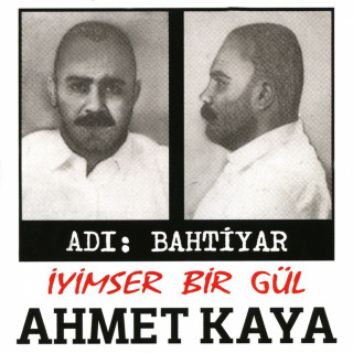 Ahmet Kaya - İyimser Bir Gül album cover