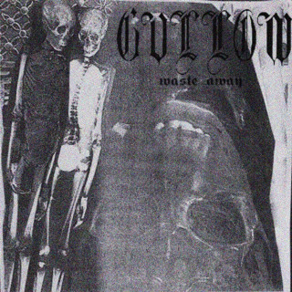 Gvllow - Waste Away album cover