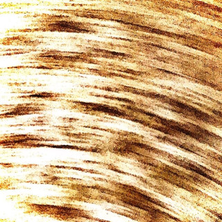 Pepel Nahudi - ZLATO EP cover