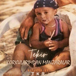 Tekir - Korkularımdan Manzaralar album cover