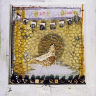 My Morning Jacket - Split (My Morning Jacket / Songs: Ohia) split EP cover