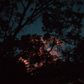 Gleemer - Down Through album cover