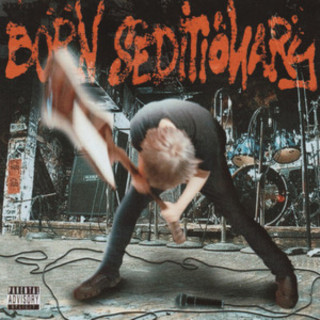 Kura & Pi'erre Bourne - Born Seditionary album cover