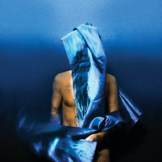 Devendra Banhart - Flying Wig album cover
