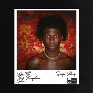 Seyi Vibez - Vibe Till Thy Kingdom Come album cover