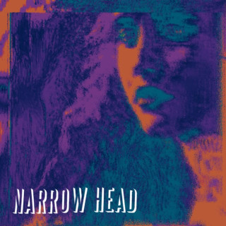 Narrow Head - Satisfaction album cover