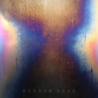 Narrow Head - Demonstration MMXIII single cover