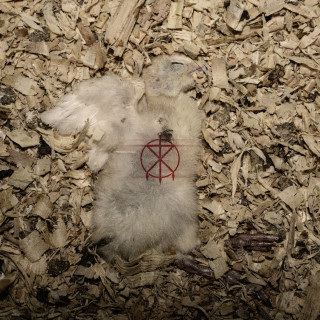 To The Grave - Offcuts album cover