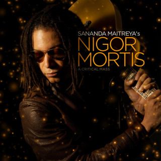 Terence Trent D'Arby - Nigor Mortis album cover