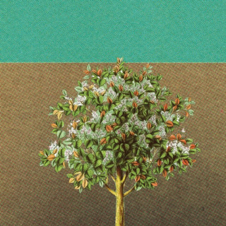 Grady Spencer & The Work - Wait album cover