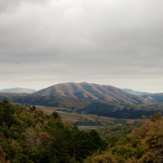 Dirty Projectors & Björk - Mount Wittenberg Orca album cover