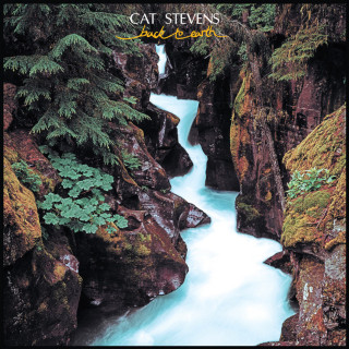 Cat Stevens - Back To Earth album cover