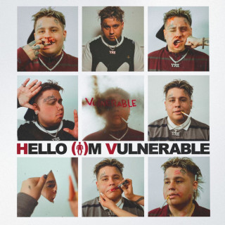 Fat Nick - HELLO I'M VULNERABLE album cover
