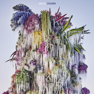 Wilco - Cousin album cover