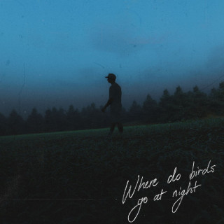 William Singe - Where Do Birds Go At Night? album cover