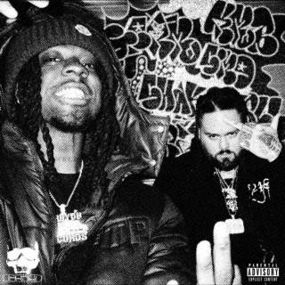 Shakewell - KEVLAR MONEY BAGS EP cover