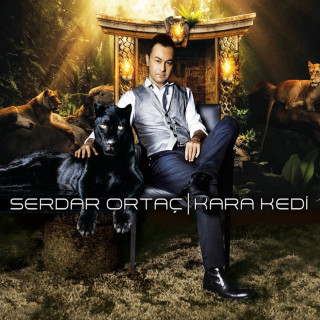 Serdar Ortaç - Kara Kedi album cover