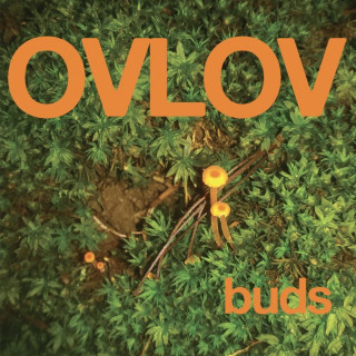 Ovlov - Buds EP cover