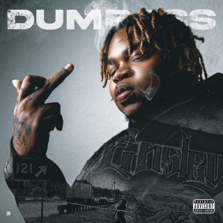Big Yavo - Dumb Ass album cover