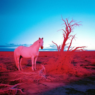 indie tribe - L O W B L O W album cover