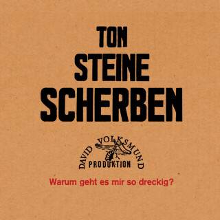 Ton Steine Scherben - Warum Geht Es Mir So Dreckig? album cover