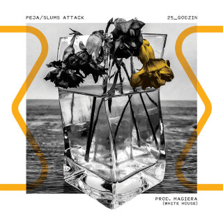 Peja - 25_godzin album cover