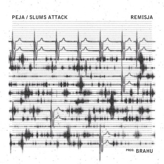 Peja - Remisja album cover