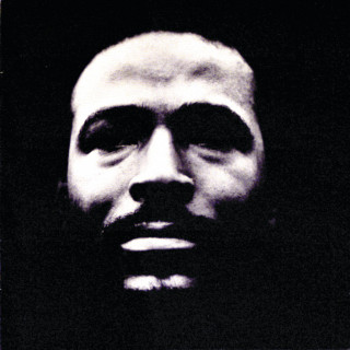 Marvin Gaye - Vulnerable album cover
