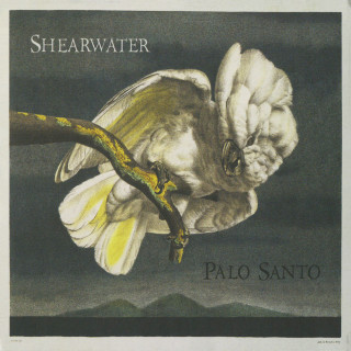 Shearwater - Palo Santo album cover