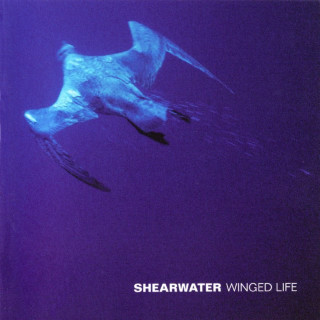 Shearwater - Winged Life album cover