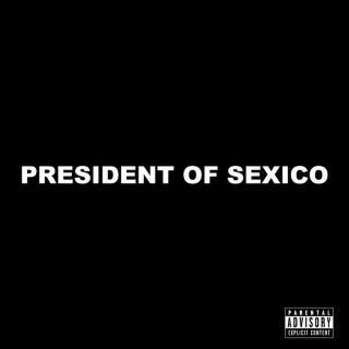STEIN27 - PRESIDENT OF SEXICO EP cover