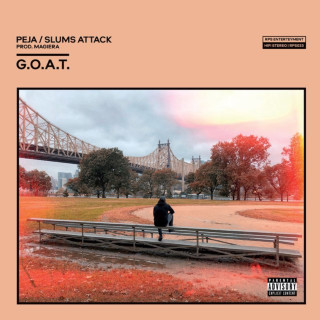 Peja - G.O.A.T. album cover
