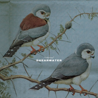 Shearwater - Thieves EP cover