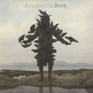 Shearwater - Rook album cover