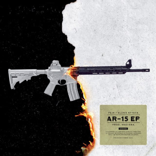Peja - AR-15 EP cover