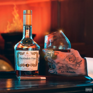 Alemán - Haciéndolo Fino album cover