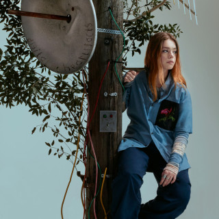 L Devine - Digital Heartifacts album cover